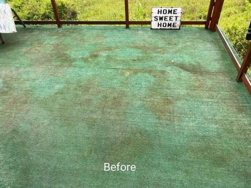 Silver Carpet Cleaners - Before