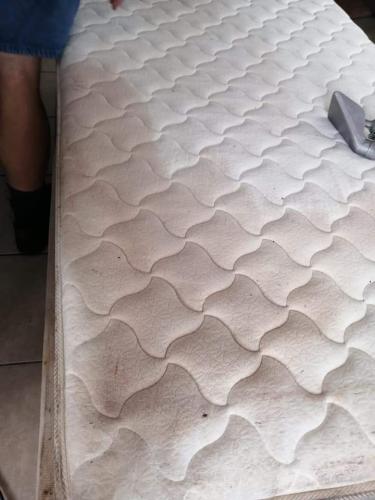 Silver Carpet Cleaners - Before