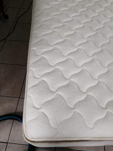 Silver Carpet Cleaners - After