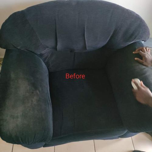 Silver Carpet Cleaners - Before