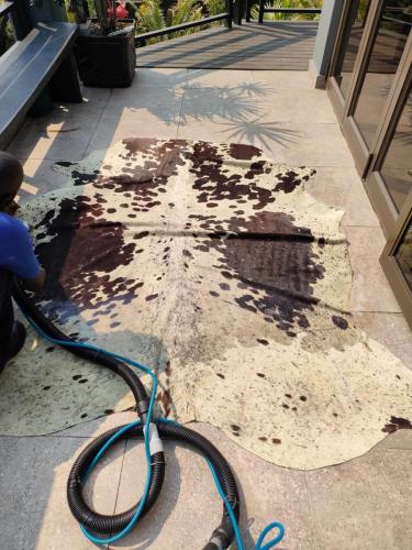 Silver Carpet Cleaners - Before & After