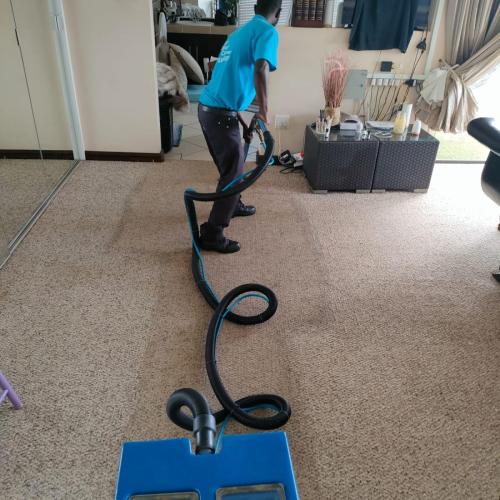 Silver Carpet Cleaners - Before & After