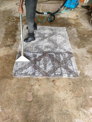 Silver Carpet Cleaners - Before & After