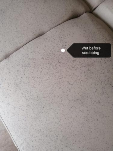 Silver Carpet Cleaners - Before