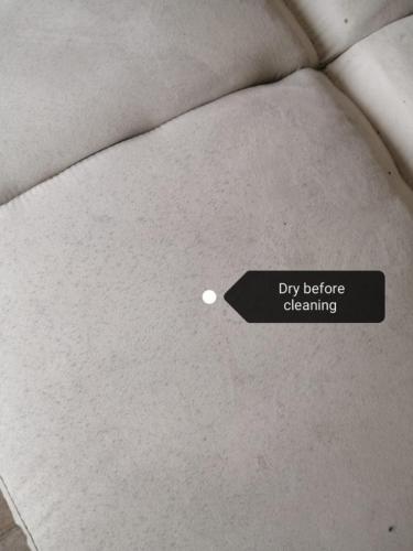 Silver Carpet Cleaners - Before