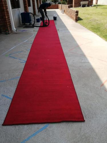 Silver Carpet Cleaners - Before