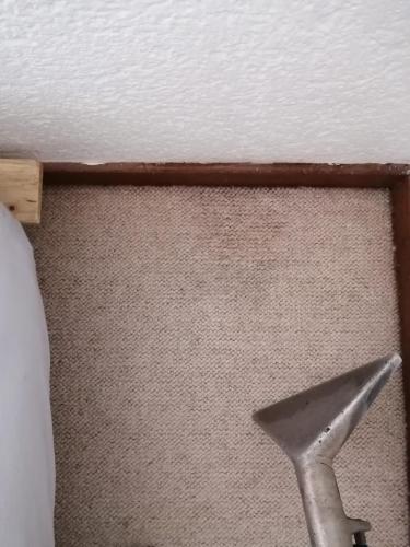 Silver Carpet Cleaners - After